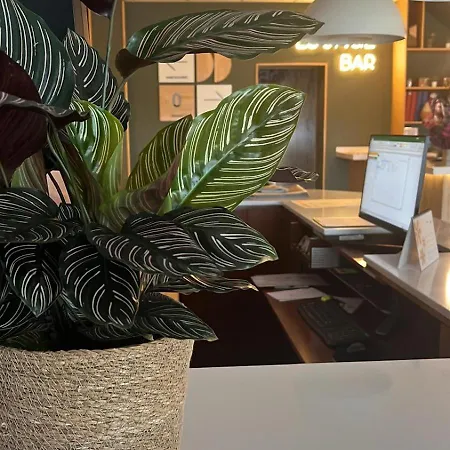 La Basilica Maison d'hôtes 3*